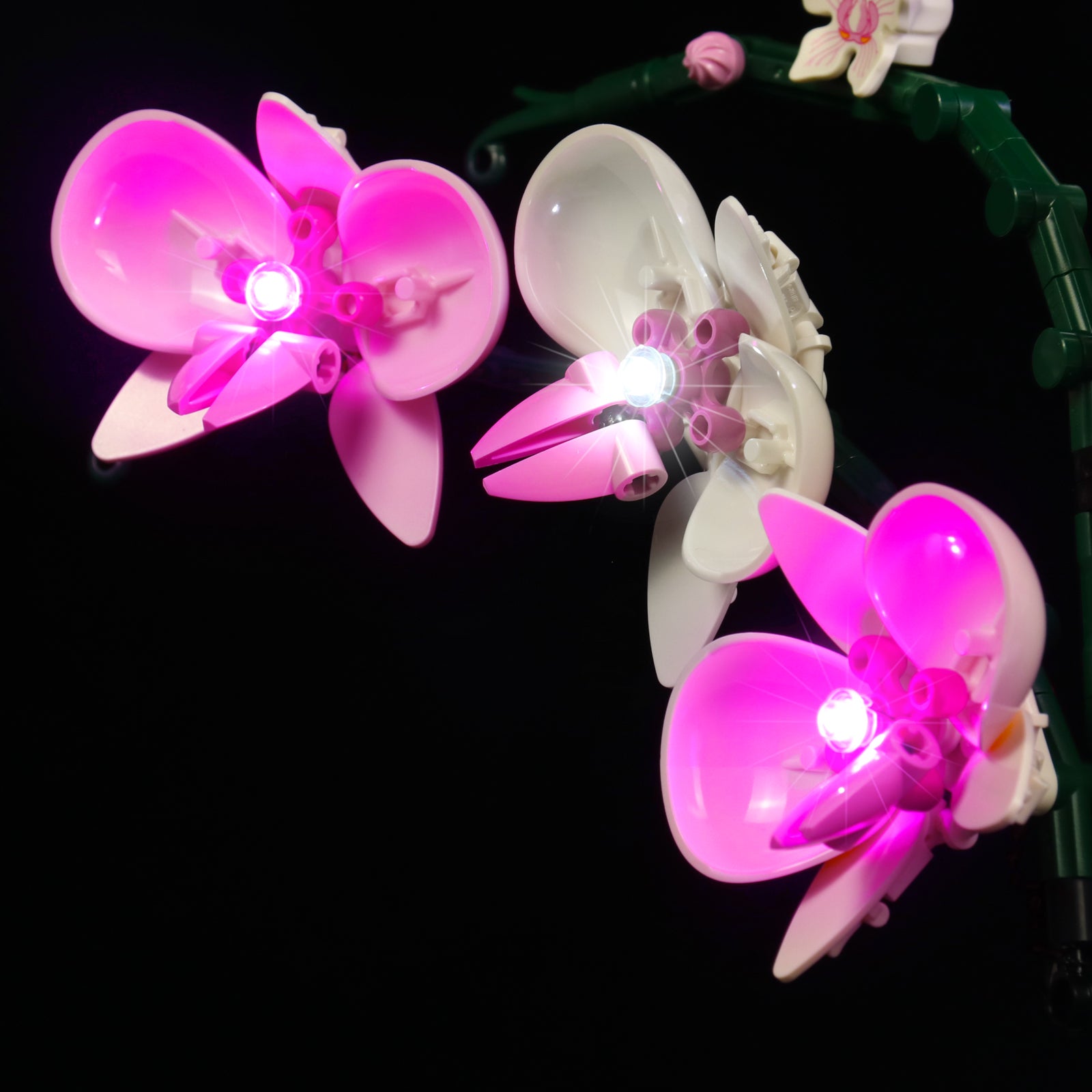 BrickBling Lichtset für LEGO Orchid 10311 Musikversion