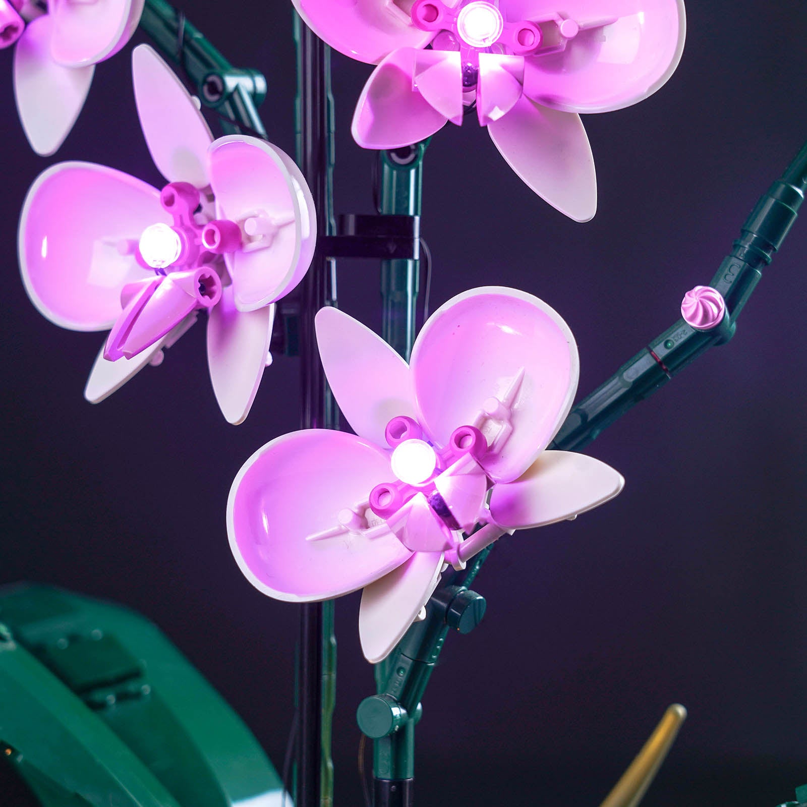 BrickBling Light Kit for LEGO The Botanical Collection Orchid 10311