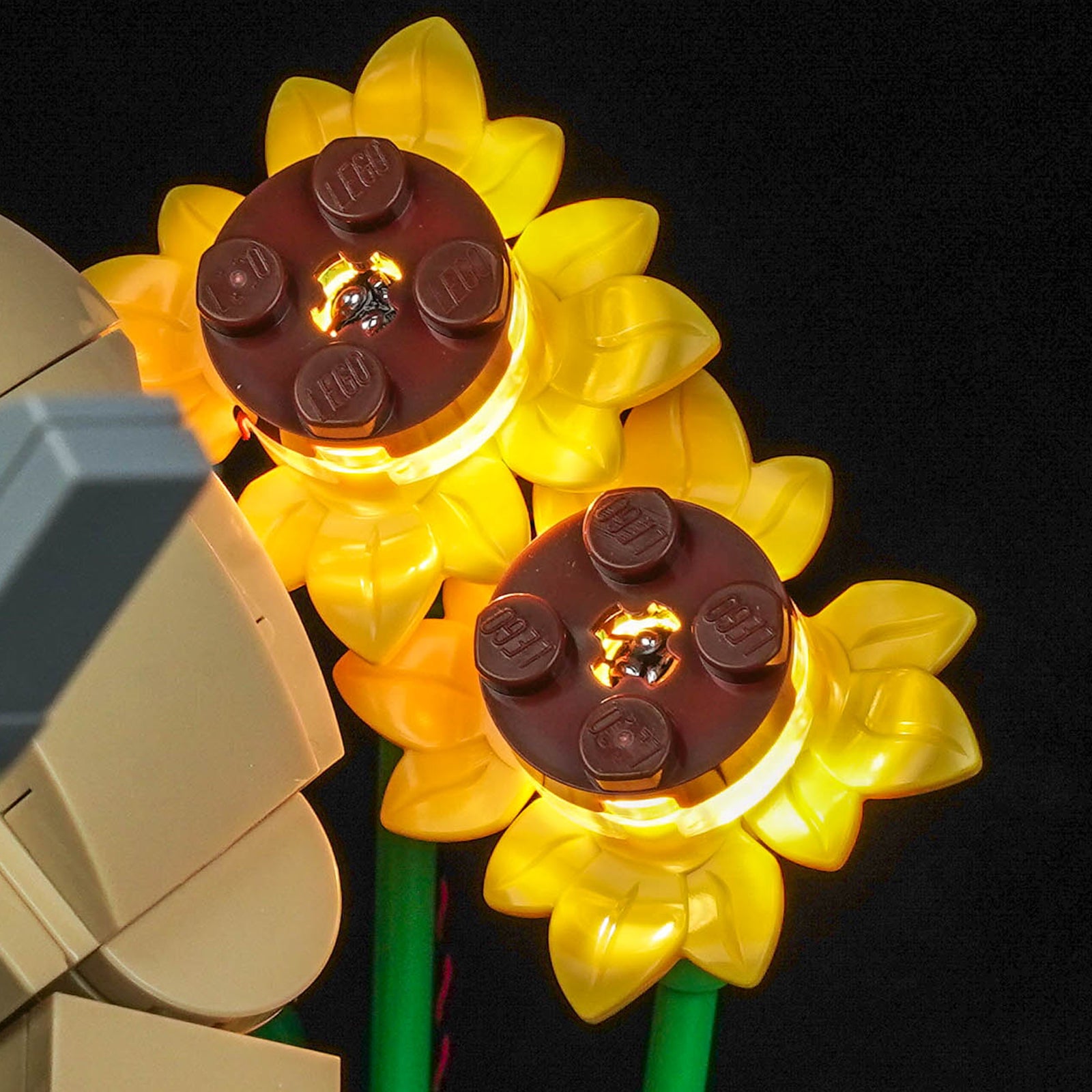 BrickBling Light Kit for LEGO Shrek, Donkey & Puss in Boots 72423