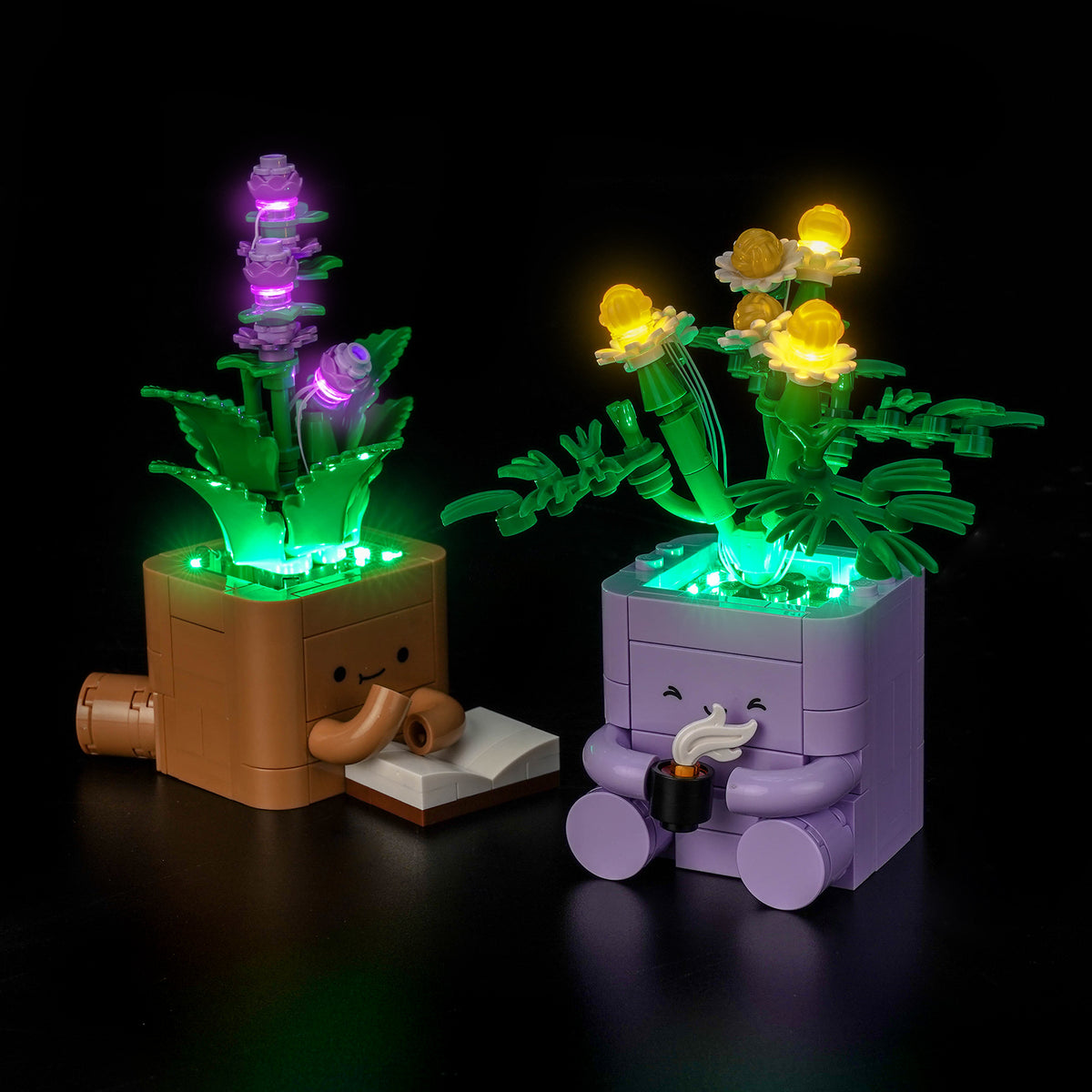 LEGO Botanicals Cozy Plants 10371 LED Light Kit