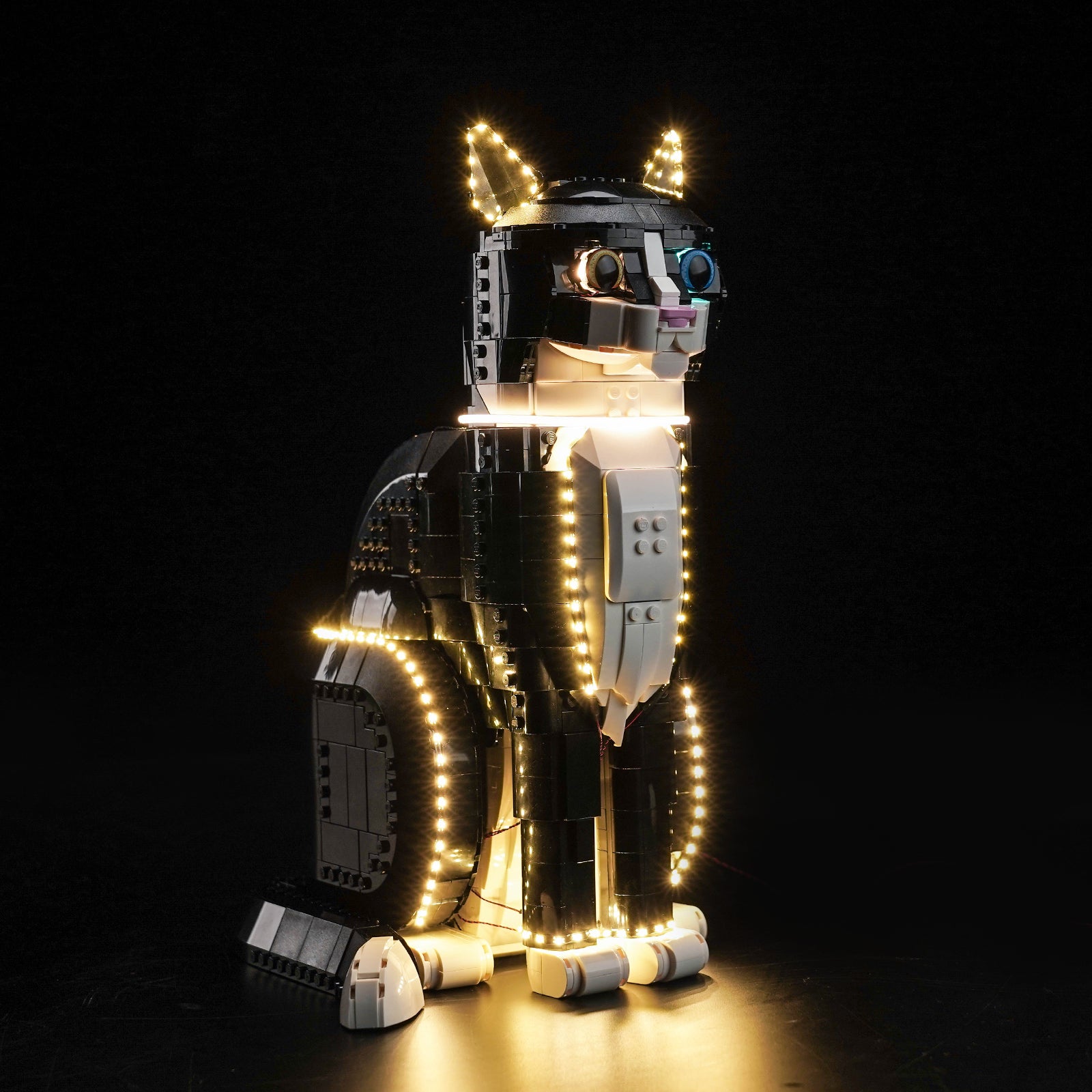 BrickBling Light Kit for LEGO Ideas Tuxedo Cat 21349