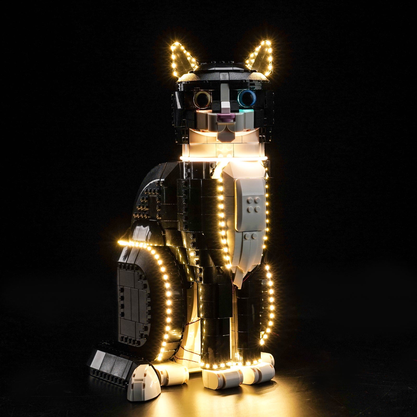 BrickBling Light Kit for LEGO Ideas Tuxedo Cat 21349