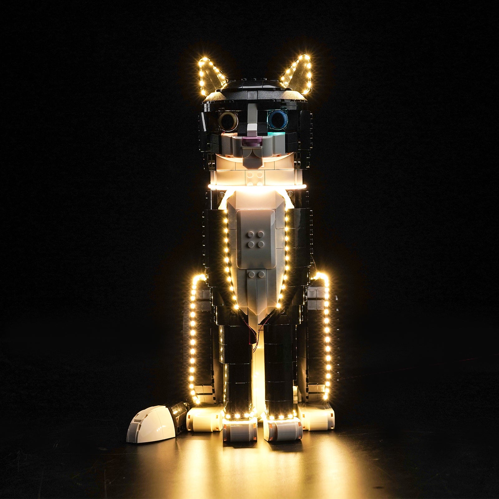 BrickBling Light Kit for LEGO Ideas Tuxedo Cat 21349