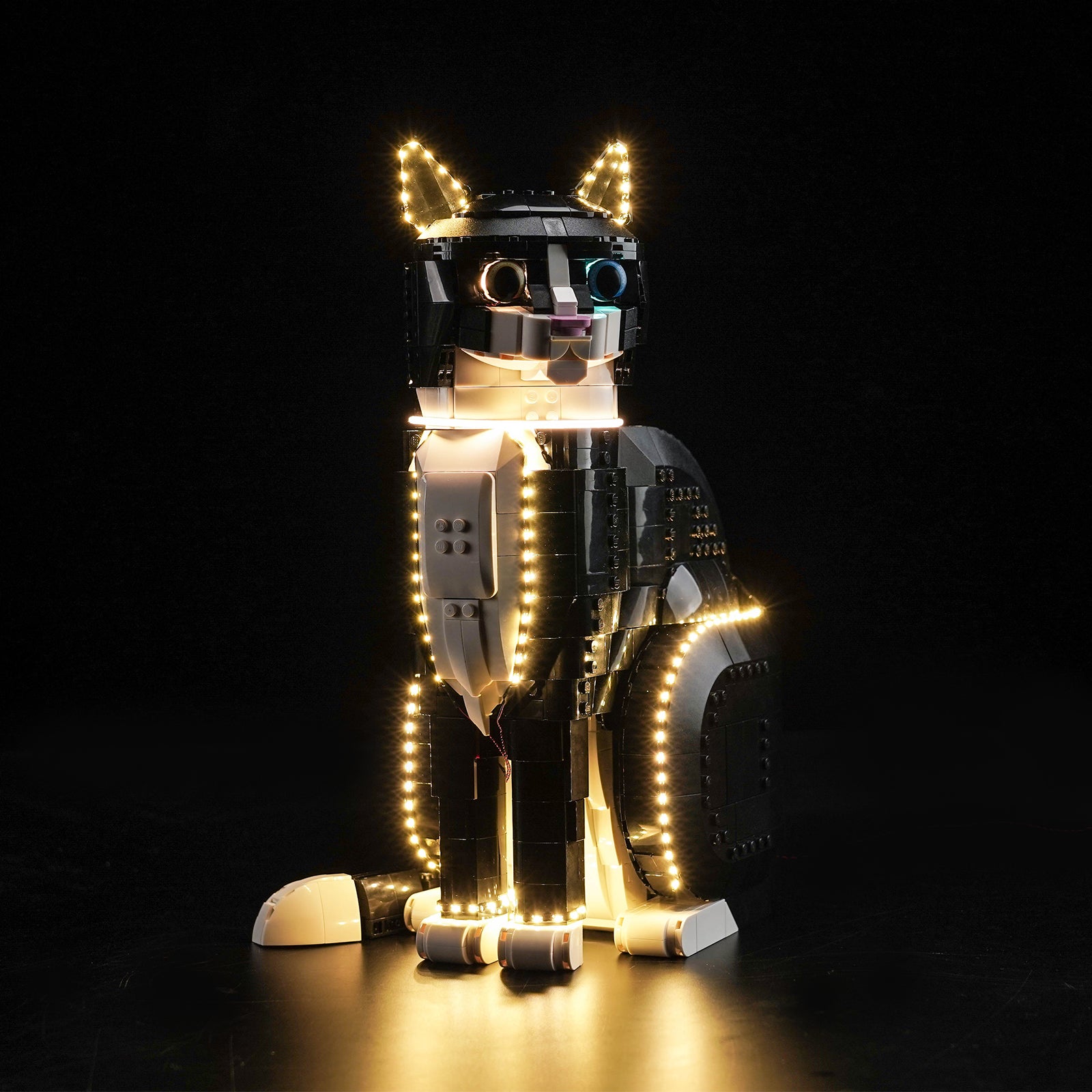 BrickBling Light Kit for LEGO Ideas Tuxedo Cat 21349