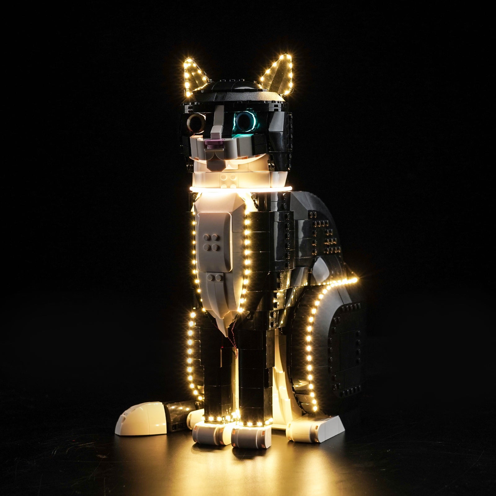 BrickBling Light Kit for LEGO Ideas Tuxedo Cat 21349