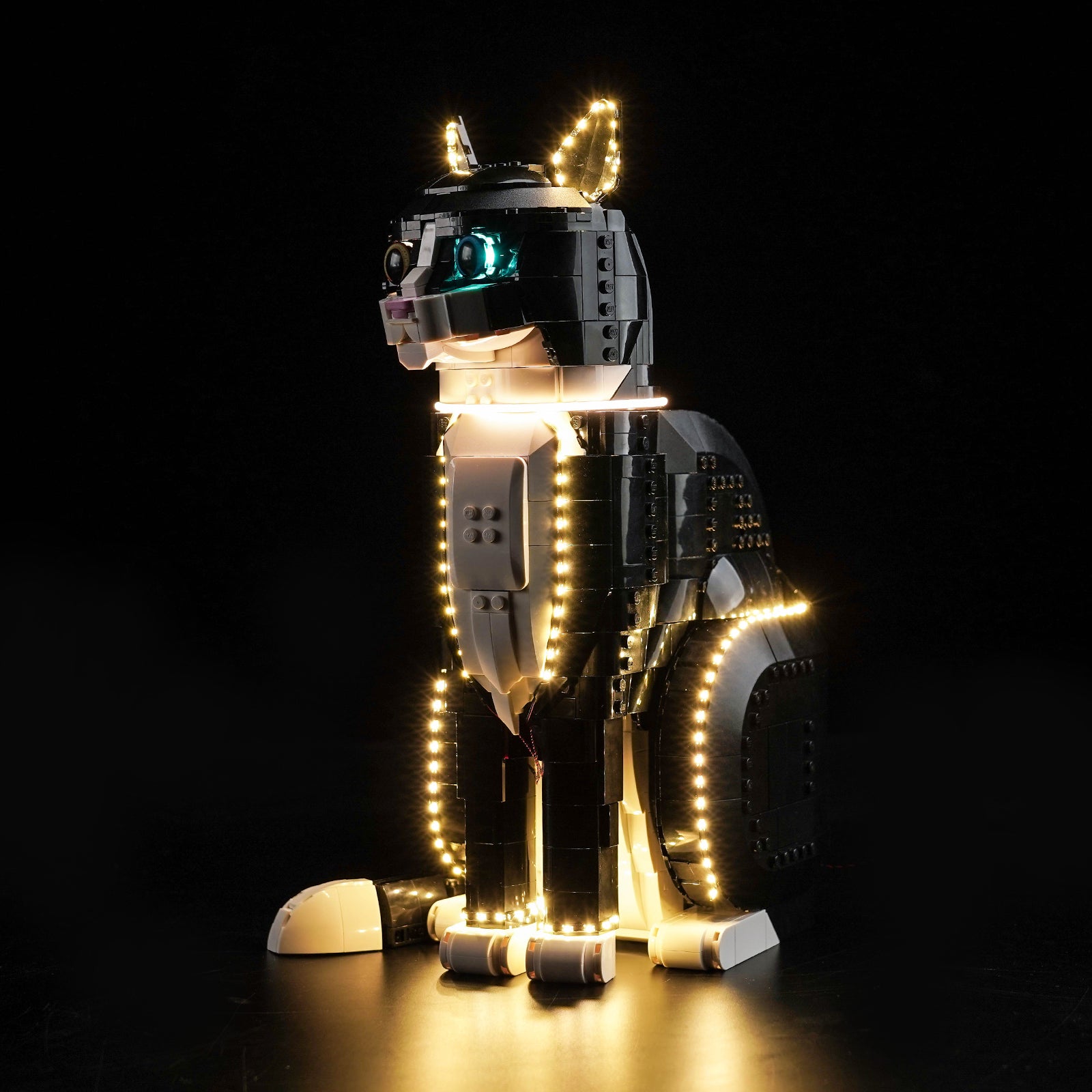 BrickBling Light Kit for LEGO Ideas Tuxedo Cat 21349