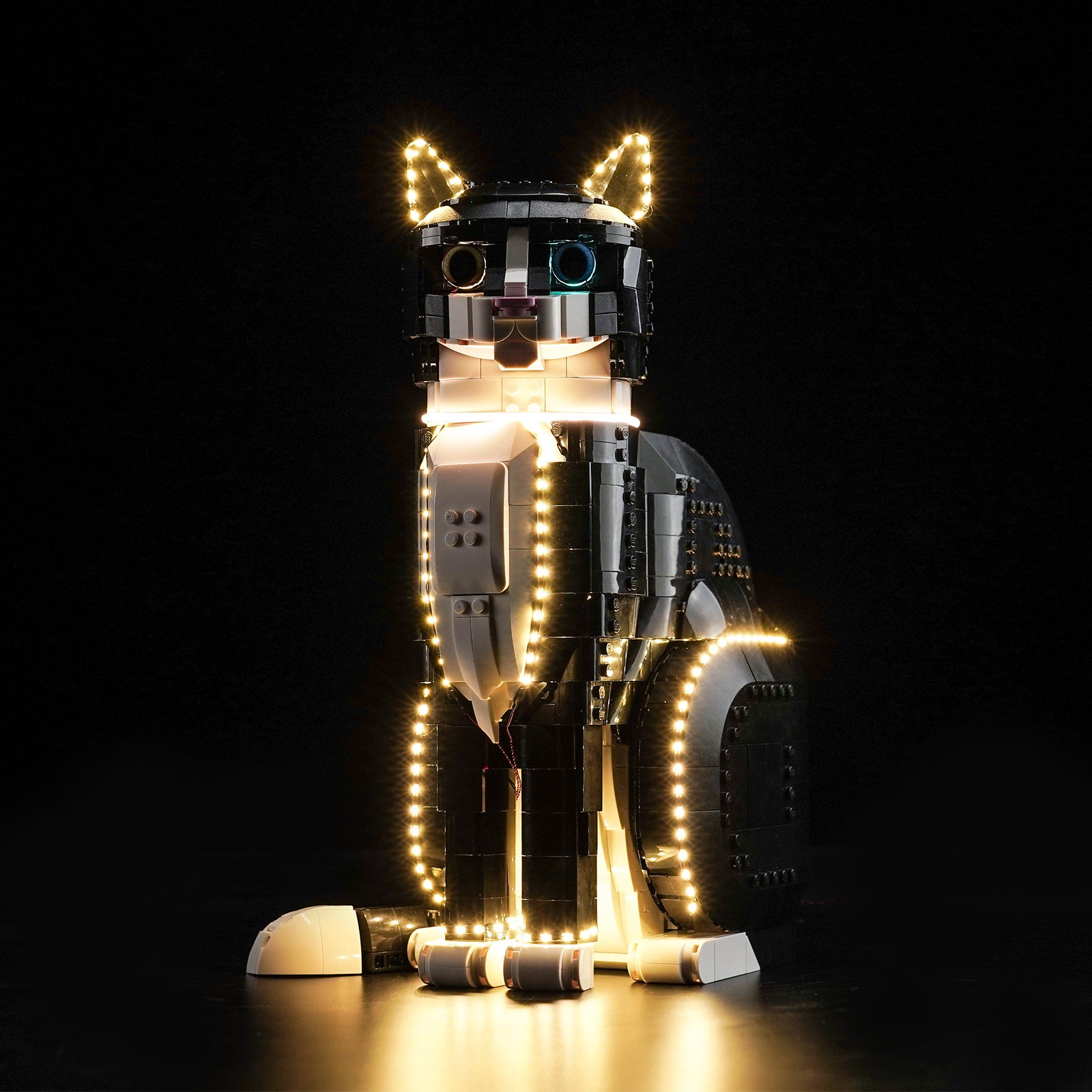 BrickBling Light Kit for LEGO Ideas Tuxedo Cat 21349