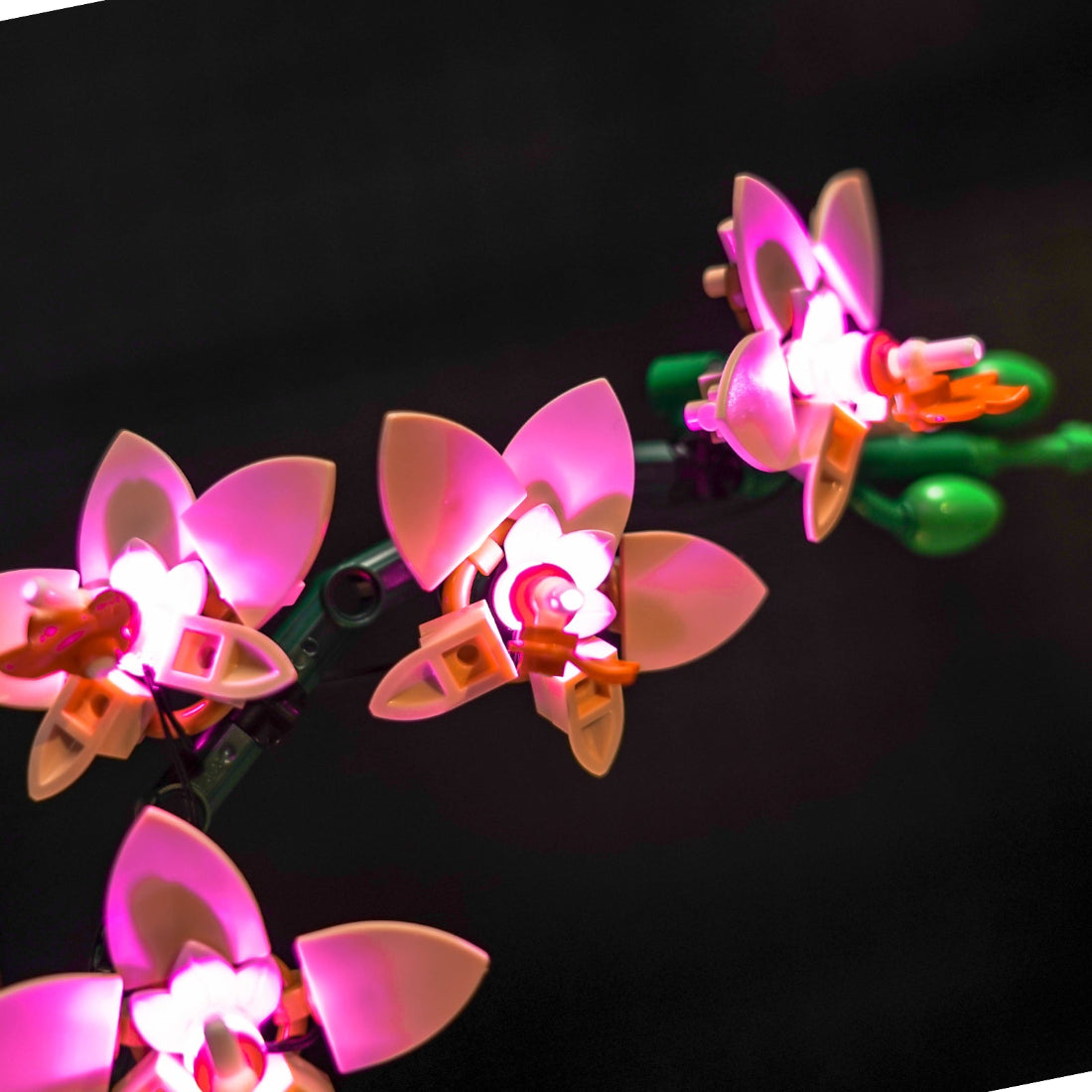 BrickBling Light Kit for LEGO The Botanical Collection Mini Orchid 10343 Classic Version - Pink