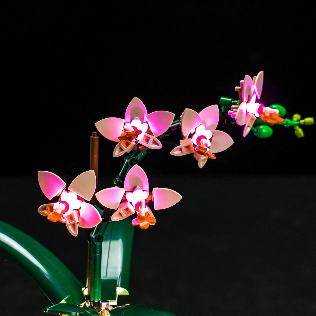 BrickBling Light Kit for LEGO The Botanical Collection Mini Orchid 10343 Classic Version - Pink