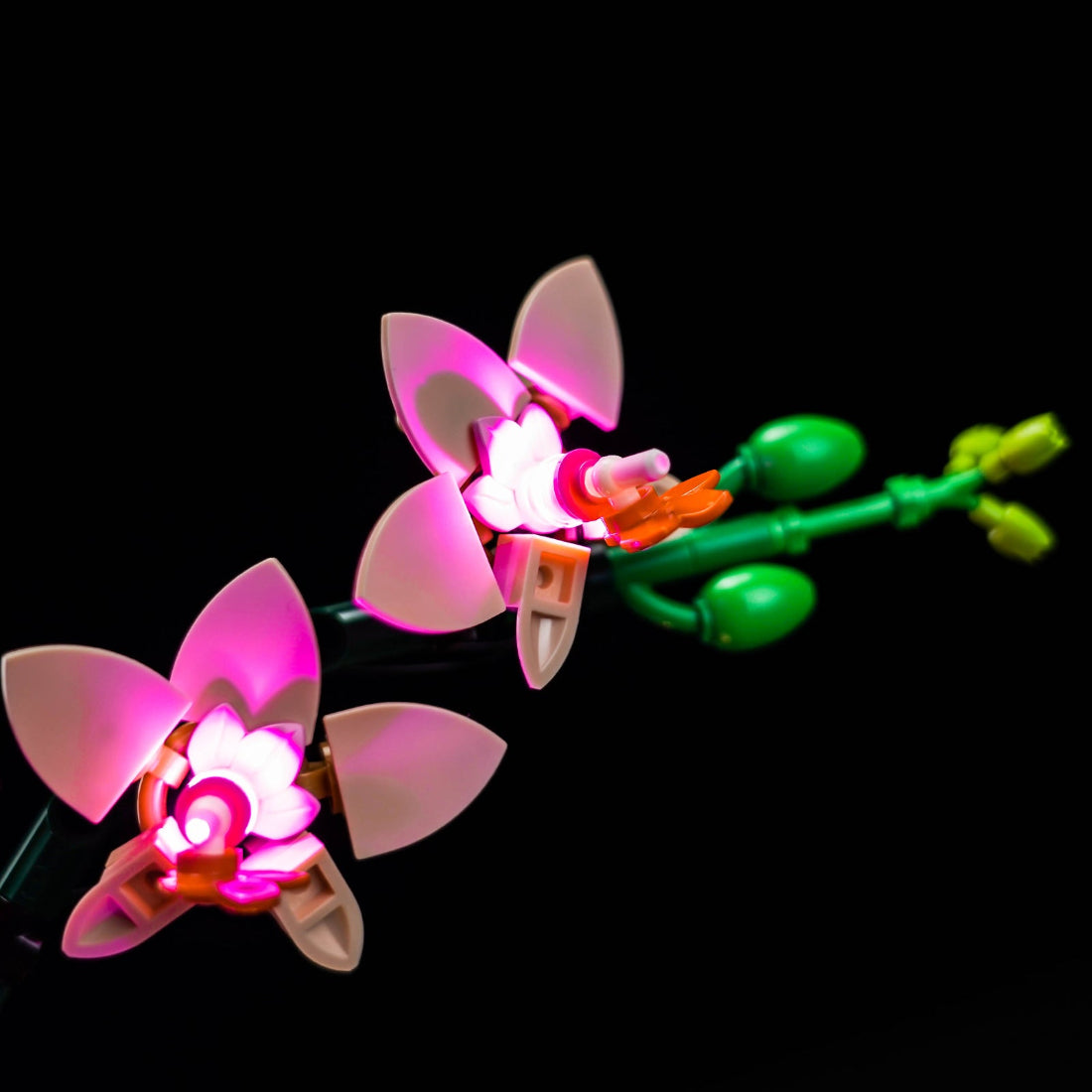 BrickBling Light Kit for LEGO The Botanical Collection Mini Orchid 10343 Classic Version - Pink