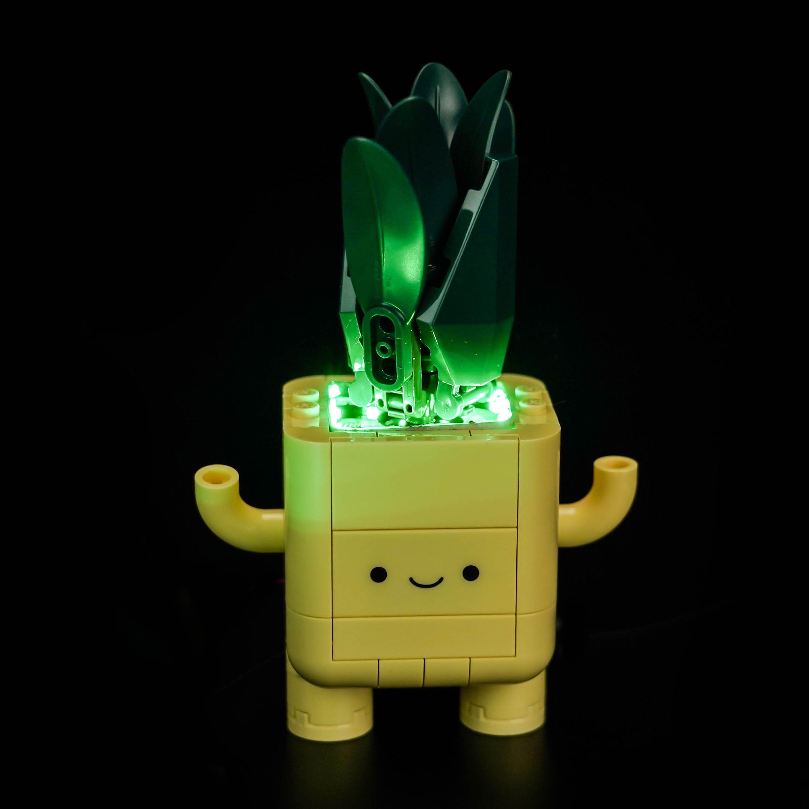 BrickBling Light Kit for LEGO The Botanical Collection Happy Plants 10349
