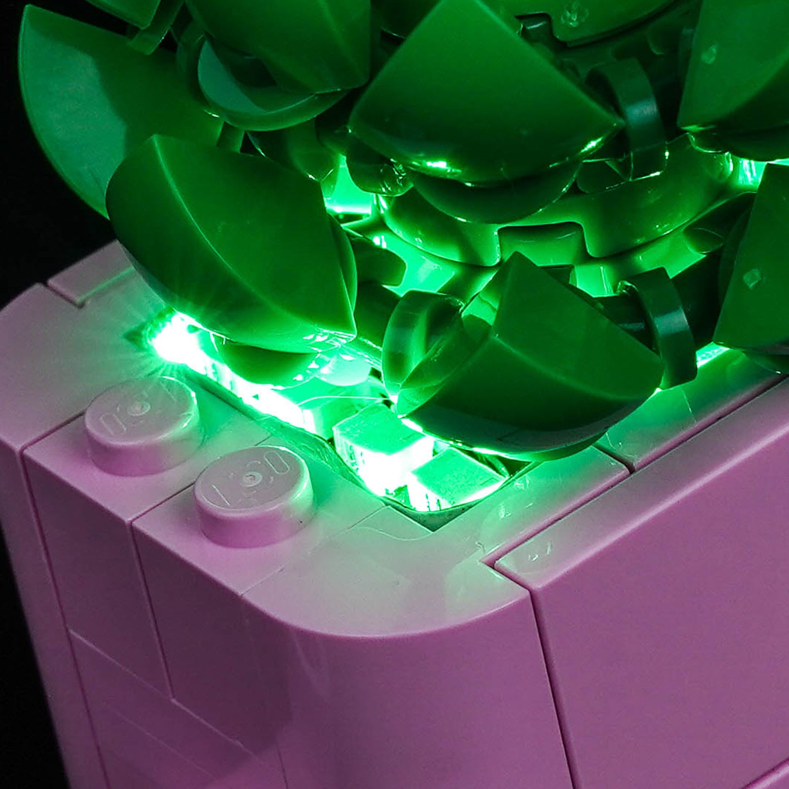 LED Light Kit for LEGO Botanicals Rocking Plants 11506