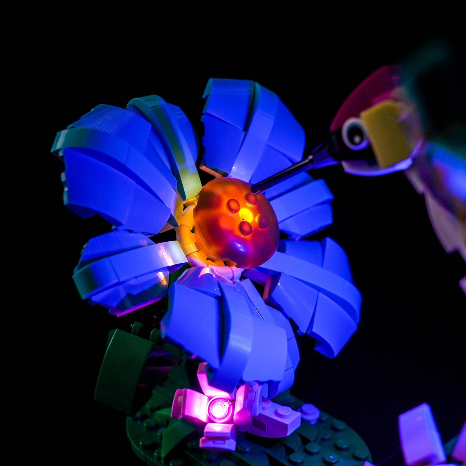 LED Light Kit for LEGO Wild Animals: Colorful Hummingbird 31384