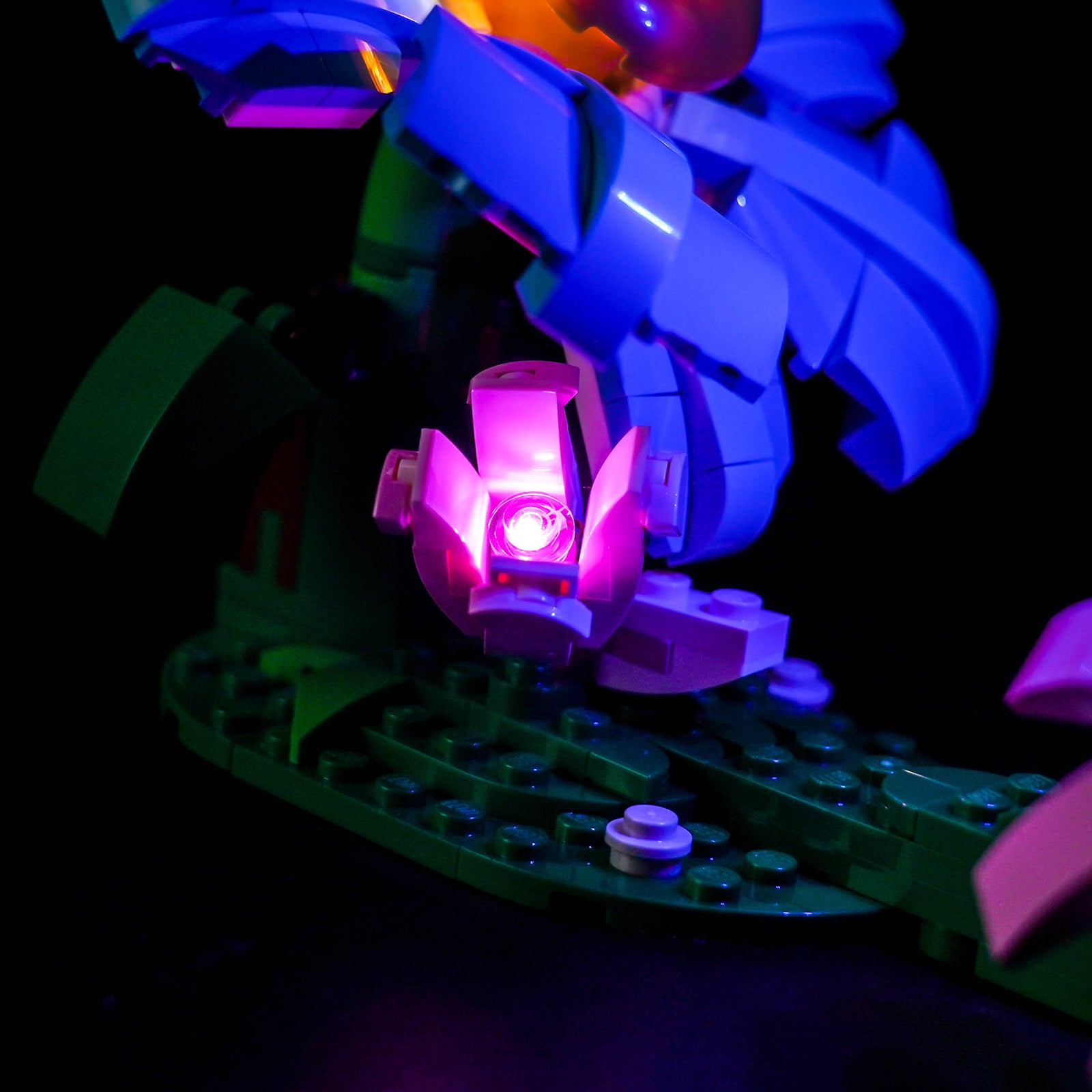 LED Light Kit for LEGO Wild Animals: Colorful Hummingbird 31384