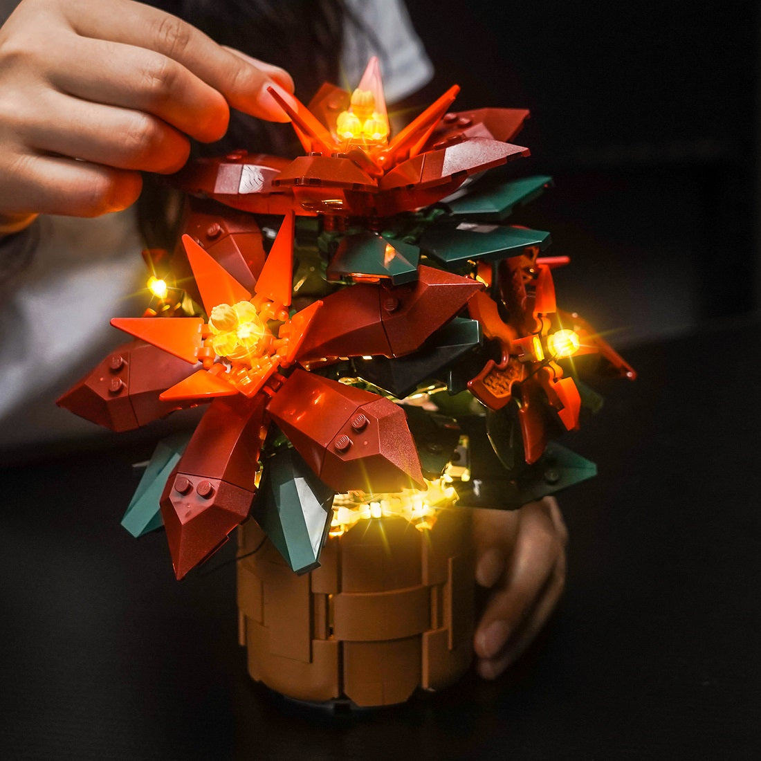 Hands holding the illuminated LEGO Poinsettia 10370 and touching the top red flower